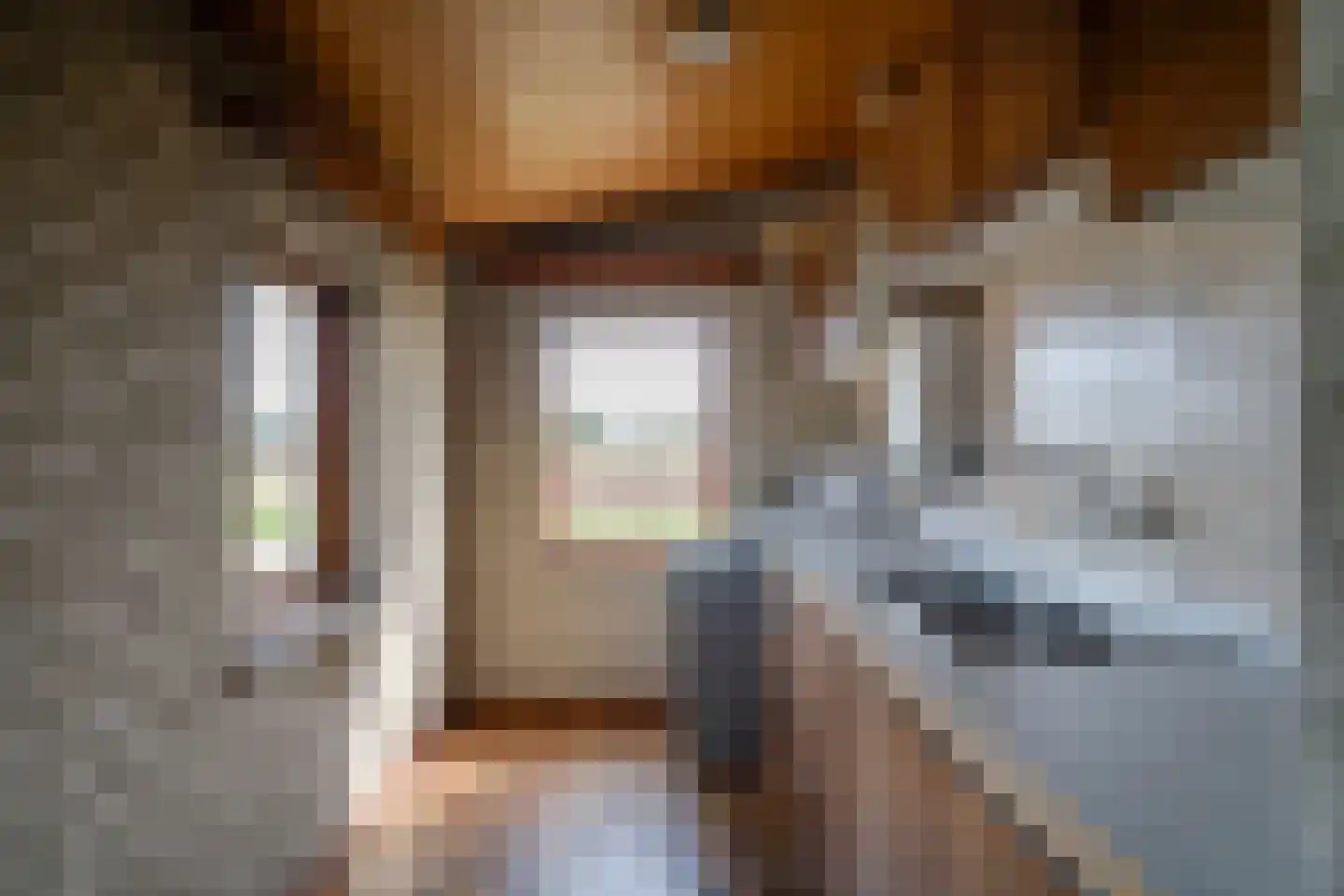 Hoekstraat 12 Rijkevoort thumbnail 13