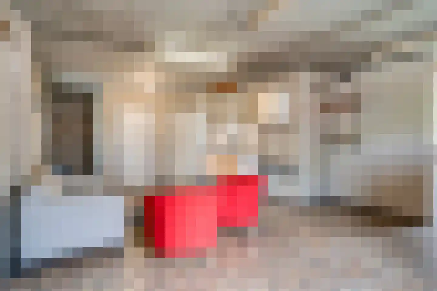 Hoekstraat 12 Rijkevoort thumbnail 22
