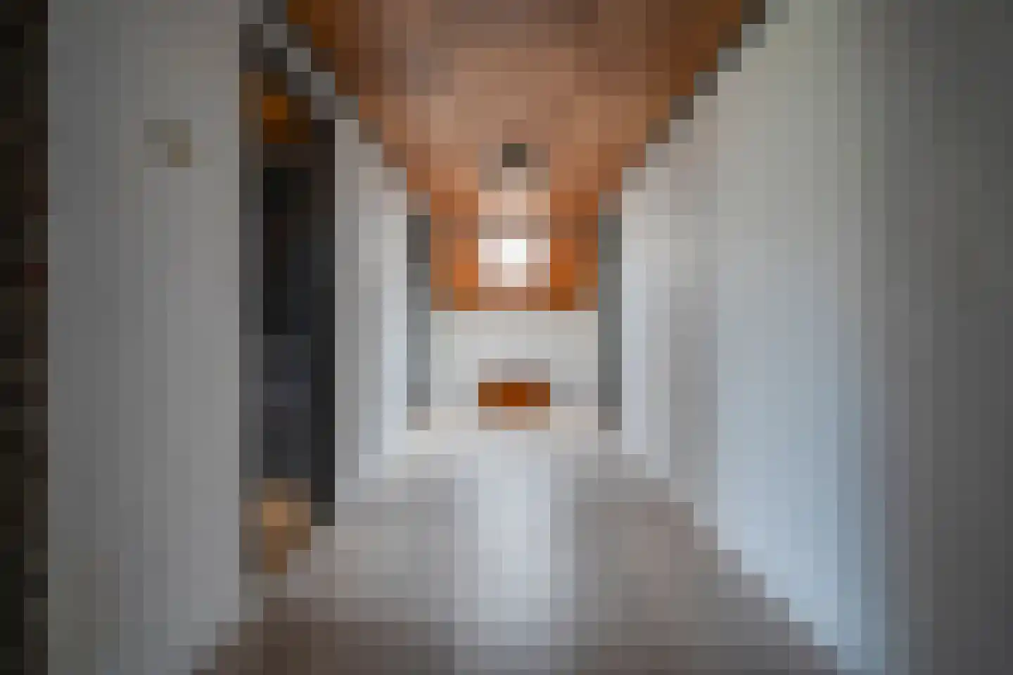 Hoekstraat 12 Rijkevoort thumbnail 27