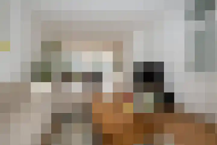 Hoekstraat 12 Sassenheim thumbnail 15