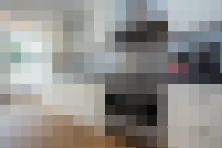 Hoekstraat 12 Sassenheim thumbnail 16