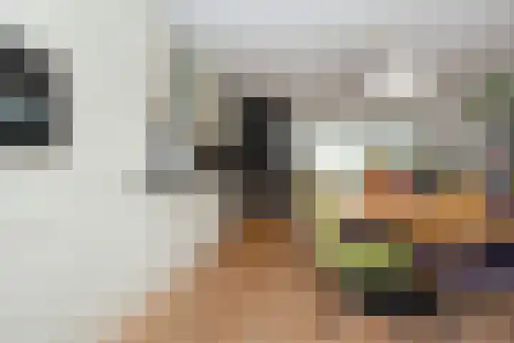 Hoekstraat 12 Sassenheim thumbnail 17