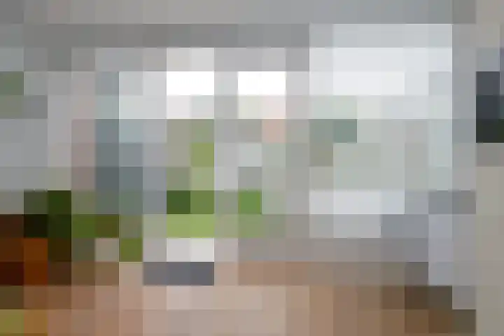 Hoekstraat 12 Sassenheim thumbnail 19