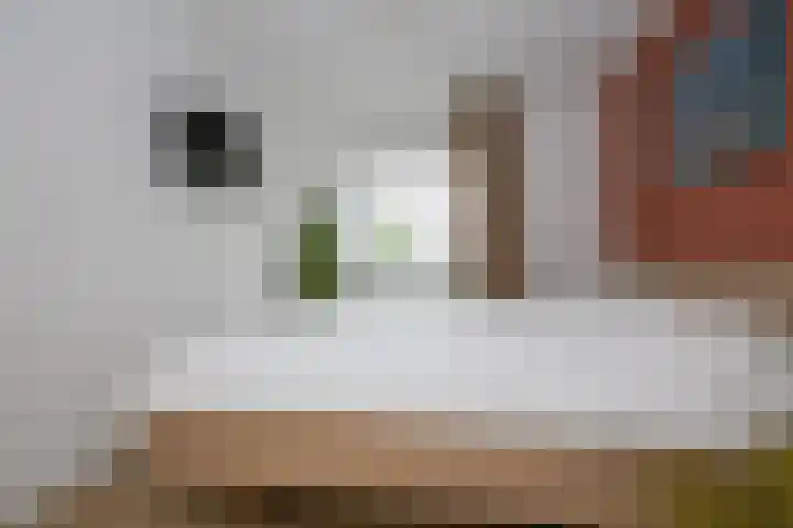 Hoekstraat 12 Sassenheim thumbnail 23