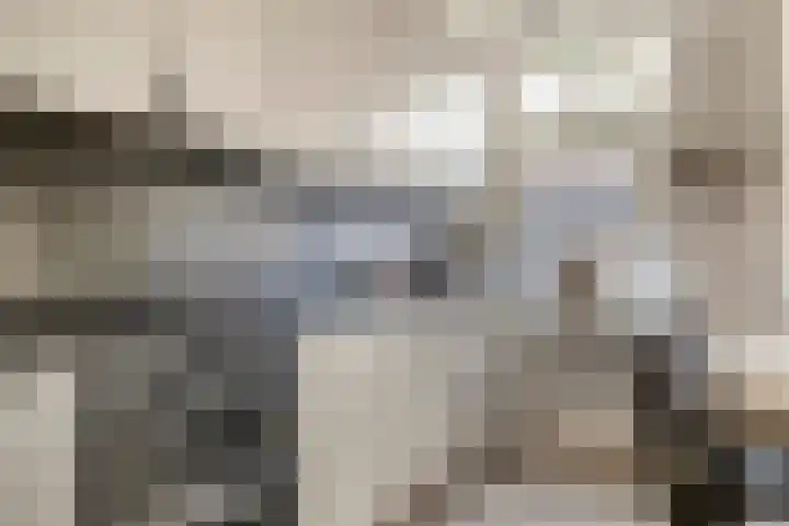 Hoekstraat 17 Bunschoten-Spakenburg thumbnail 8