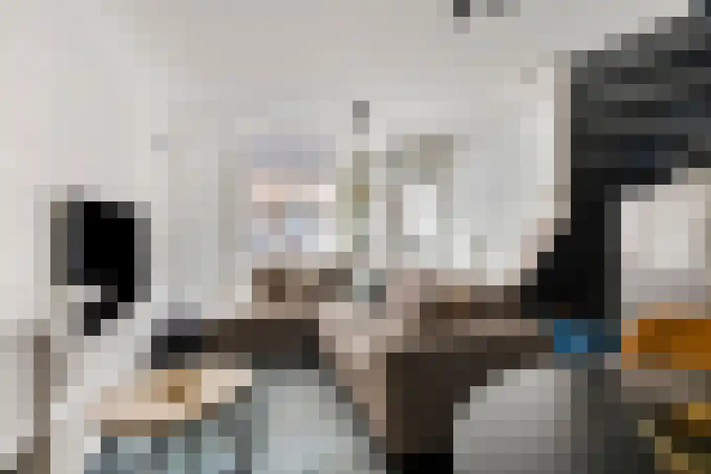 Hoekstraat 19 Bunschoten-Spakenburg thumbnail 4