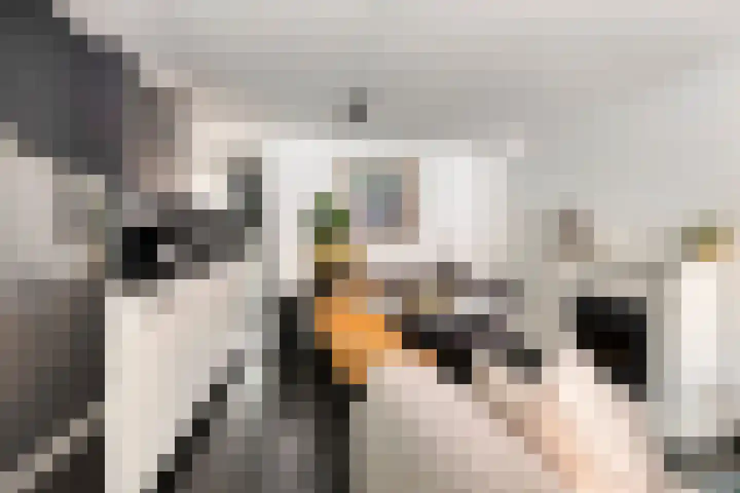 Hoekstraat 19 Bunschoten-Spakenburg thumbnail 6