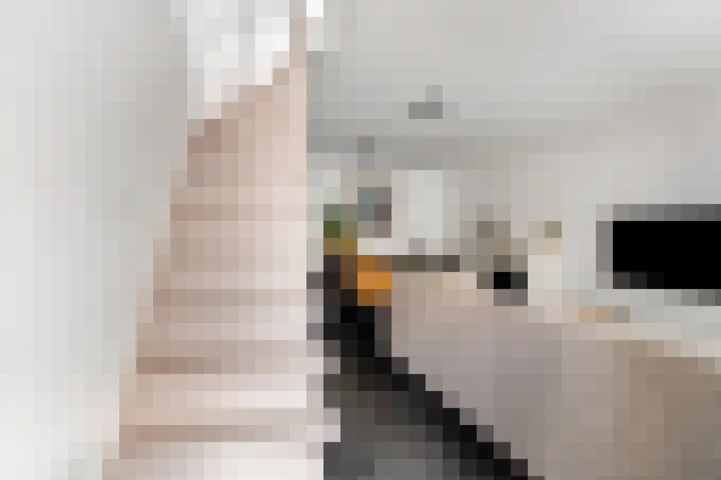 Hoekstraat 19 Bunschoten-Spakenburg thumbnail 7