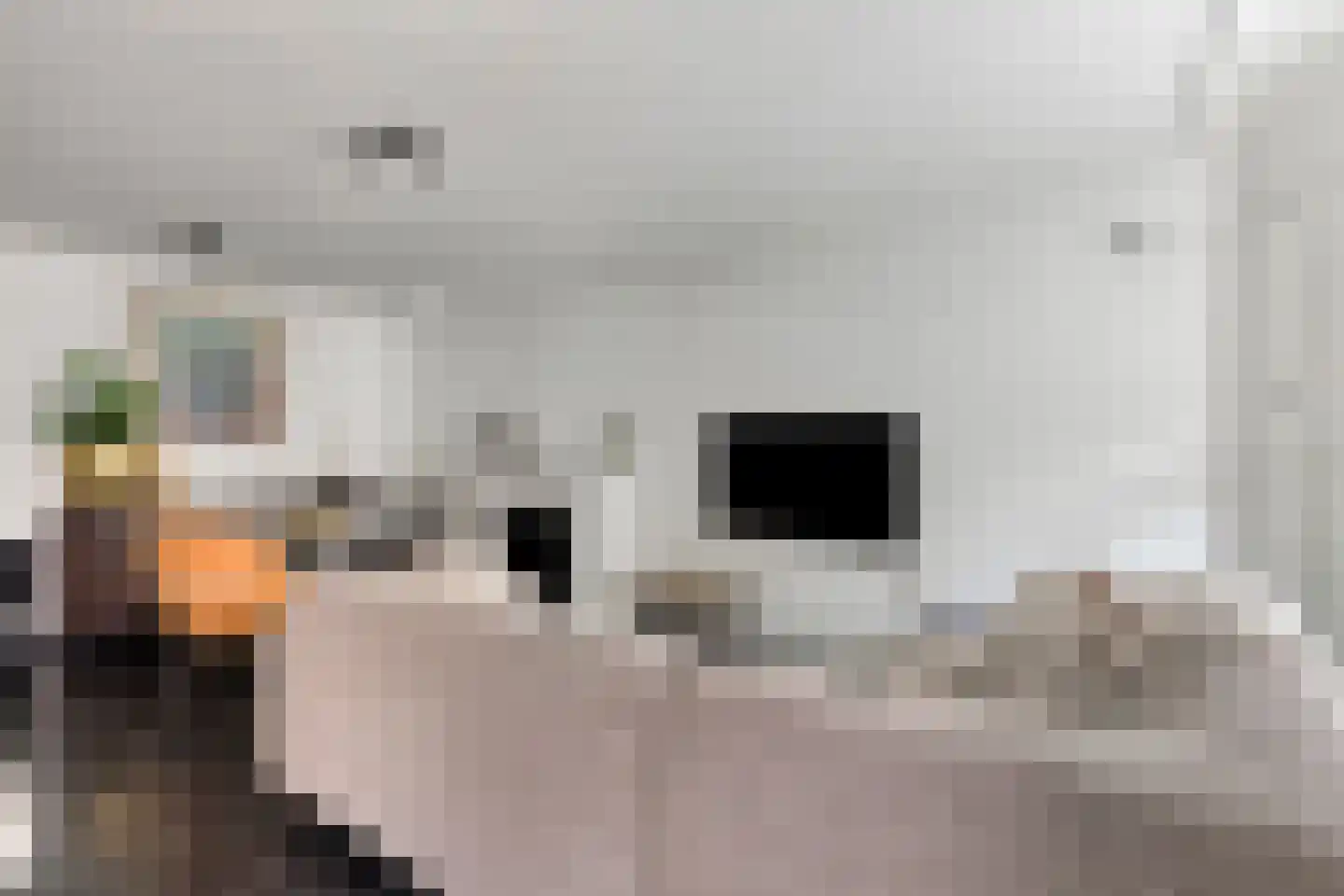 Hoekstraat 19 Bunschoten-Spakenburg thumbnail 8