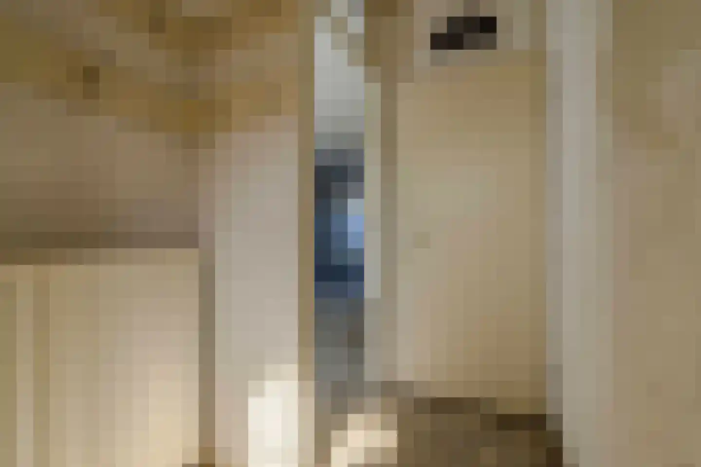 Hoekstraat 19 Sassenheim thumbnail 11