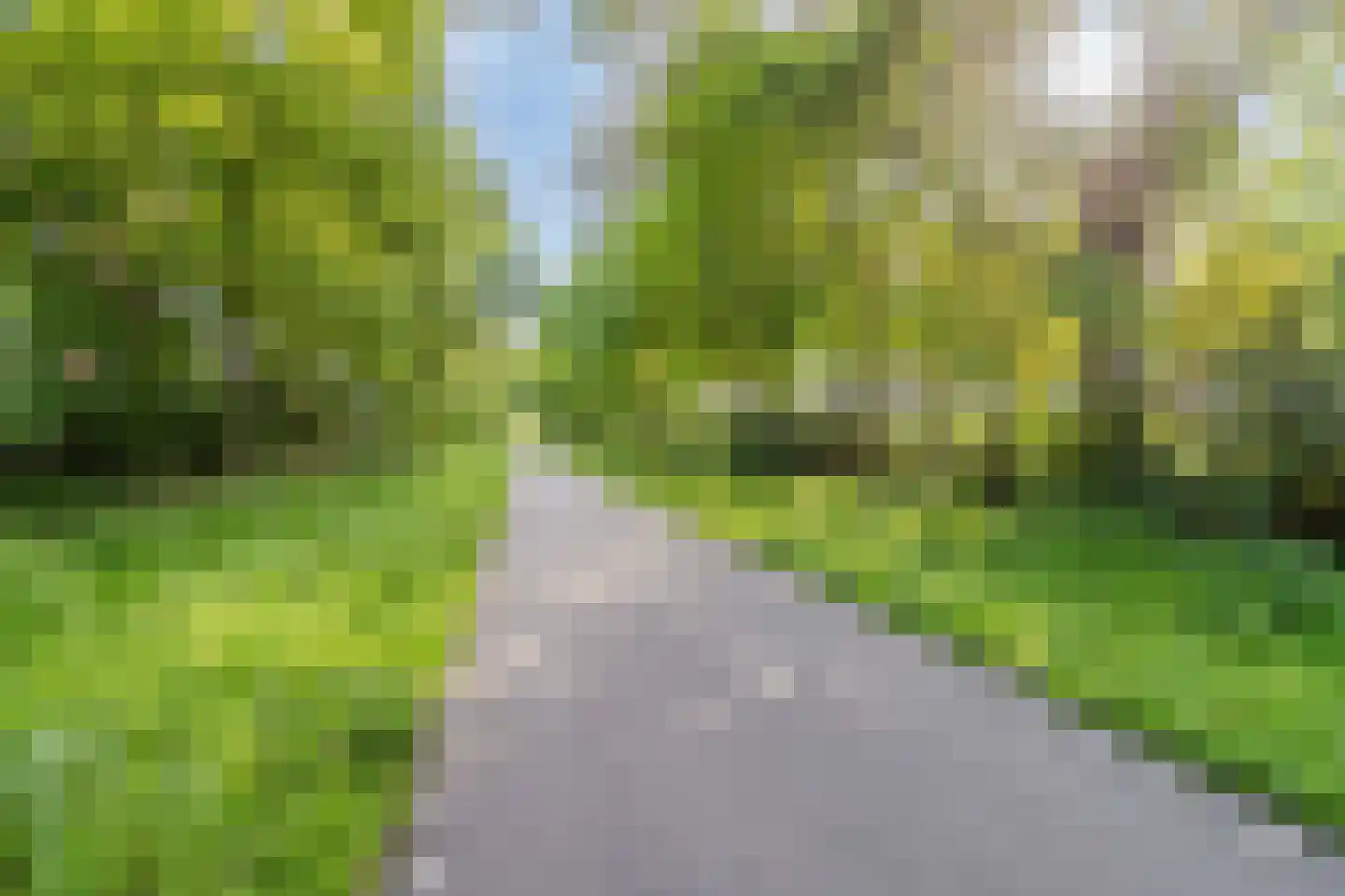 Hoekstraat 2 Hoensbroek thumbnail 40