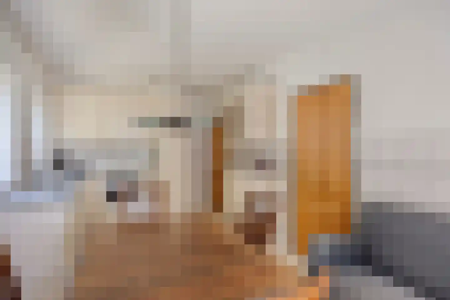 Hoekstraat 2 Rijkevoort thumbnail 18