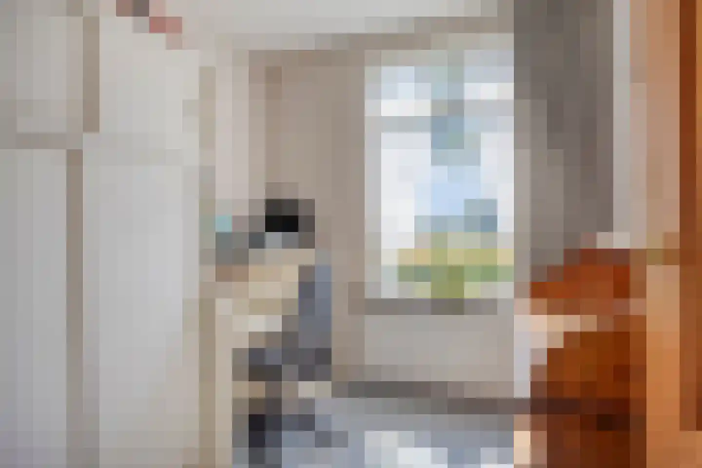 Hoekstraat 2 Rijkevoort thumbnail 21