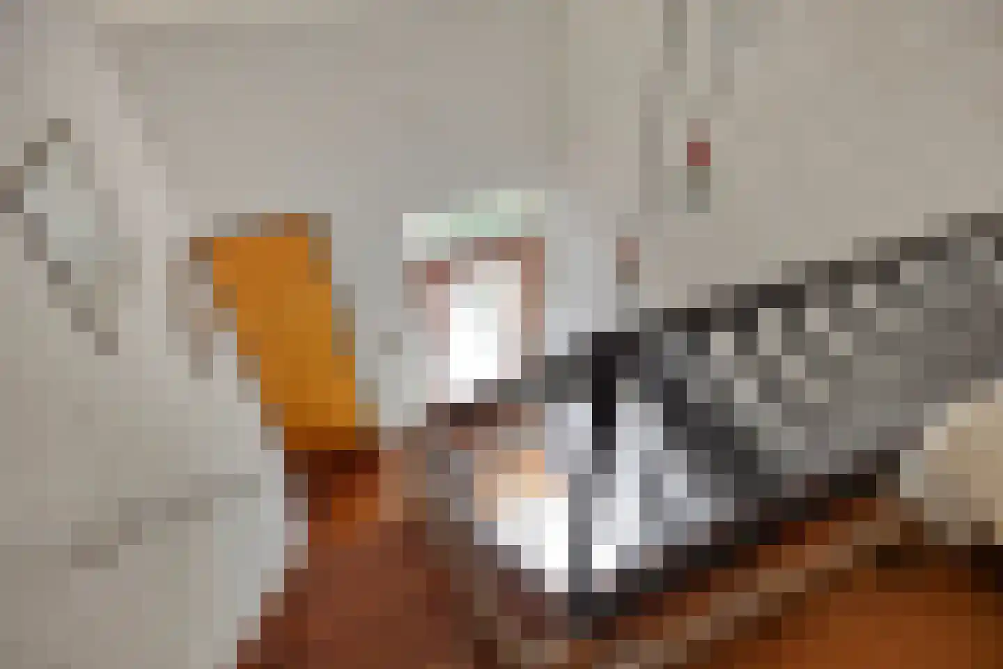 Hoekstraat 2 Rijkevoort thumbnail 25