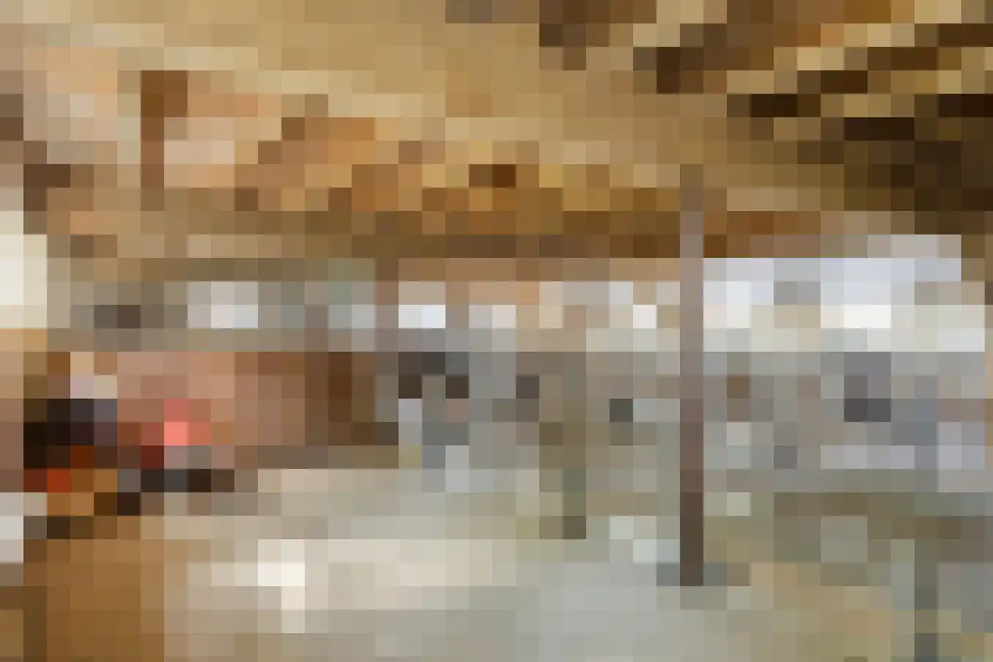 Hoekstraat 2 Rijkevoort thumbnail 28