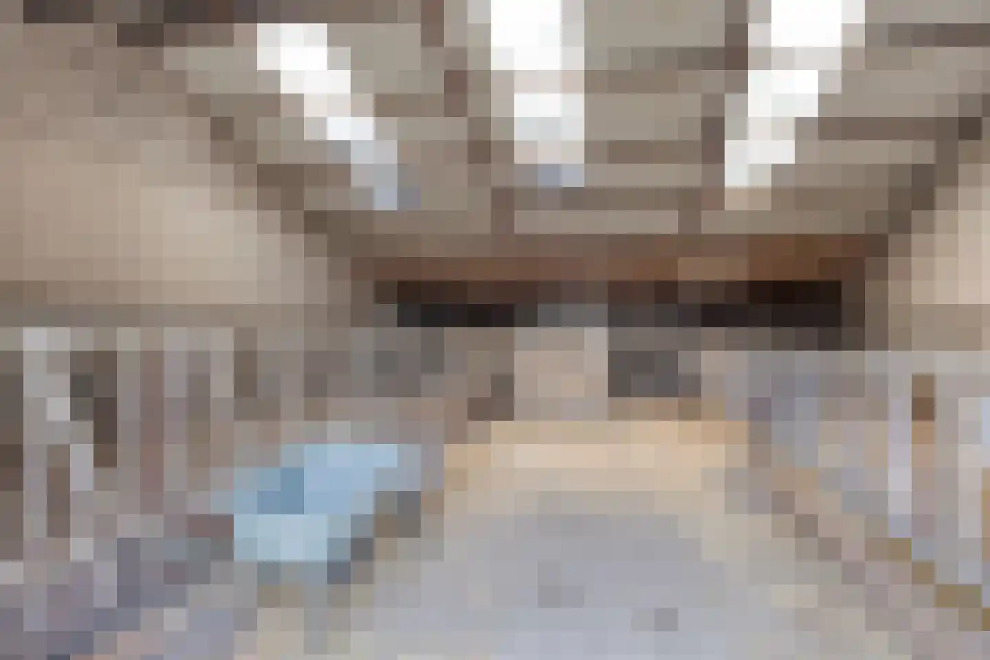 Hoekstraat 2 Rijkevoort thumbnail 31