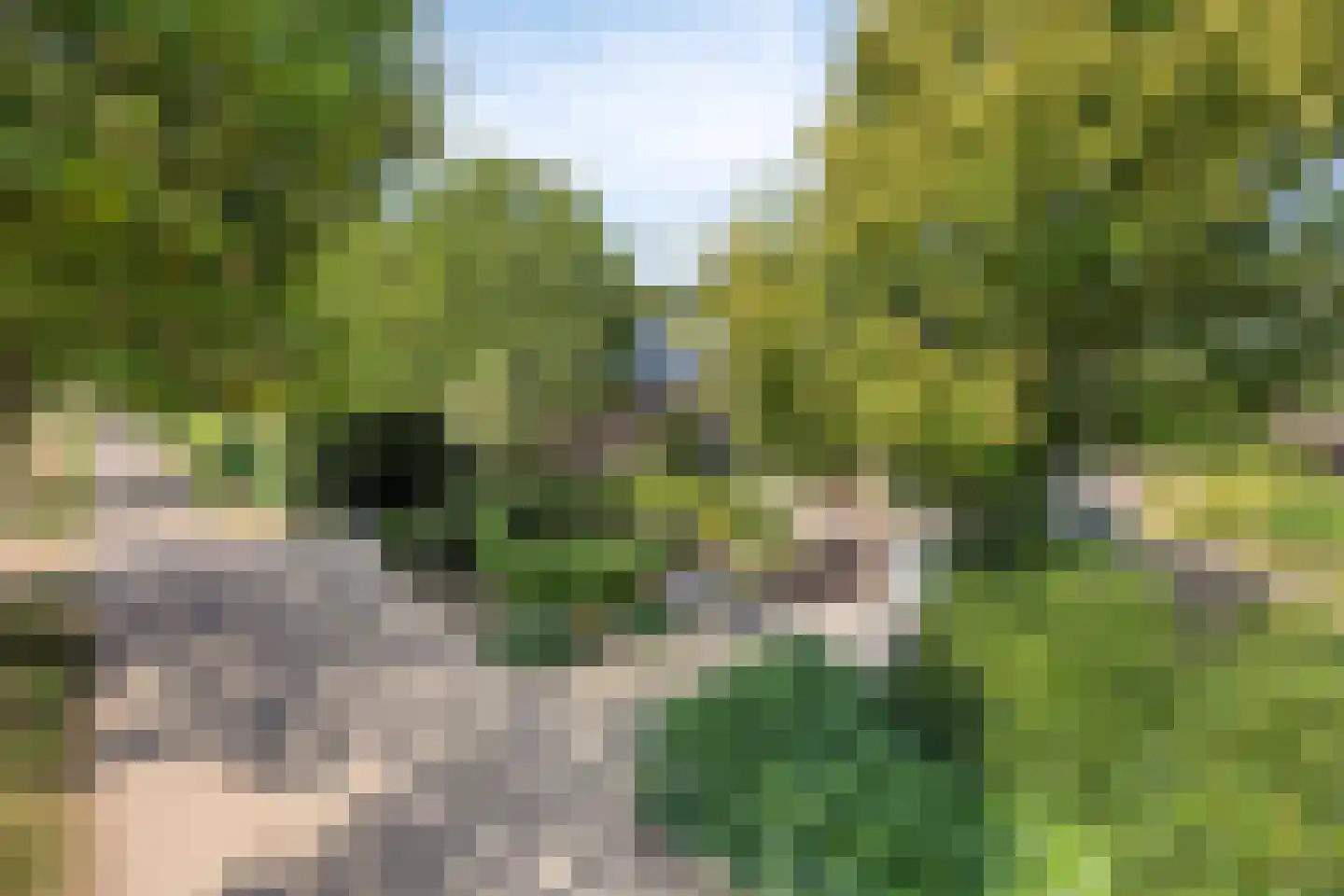 Hoekstraat 2 Rijkevoort thumbnail 34
