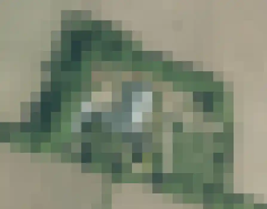 Hoekstraat 2 Rijkevoort thumbnail 4