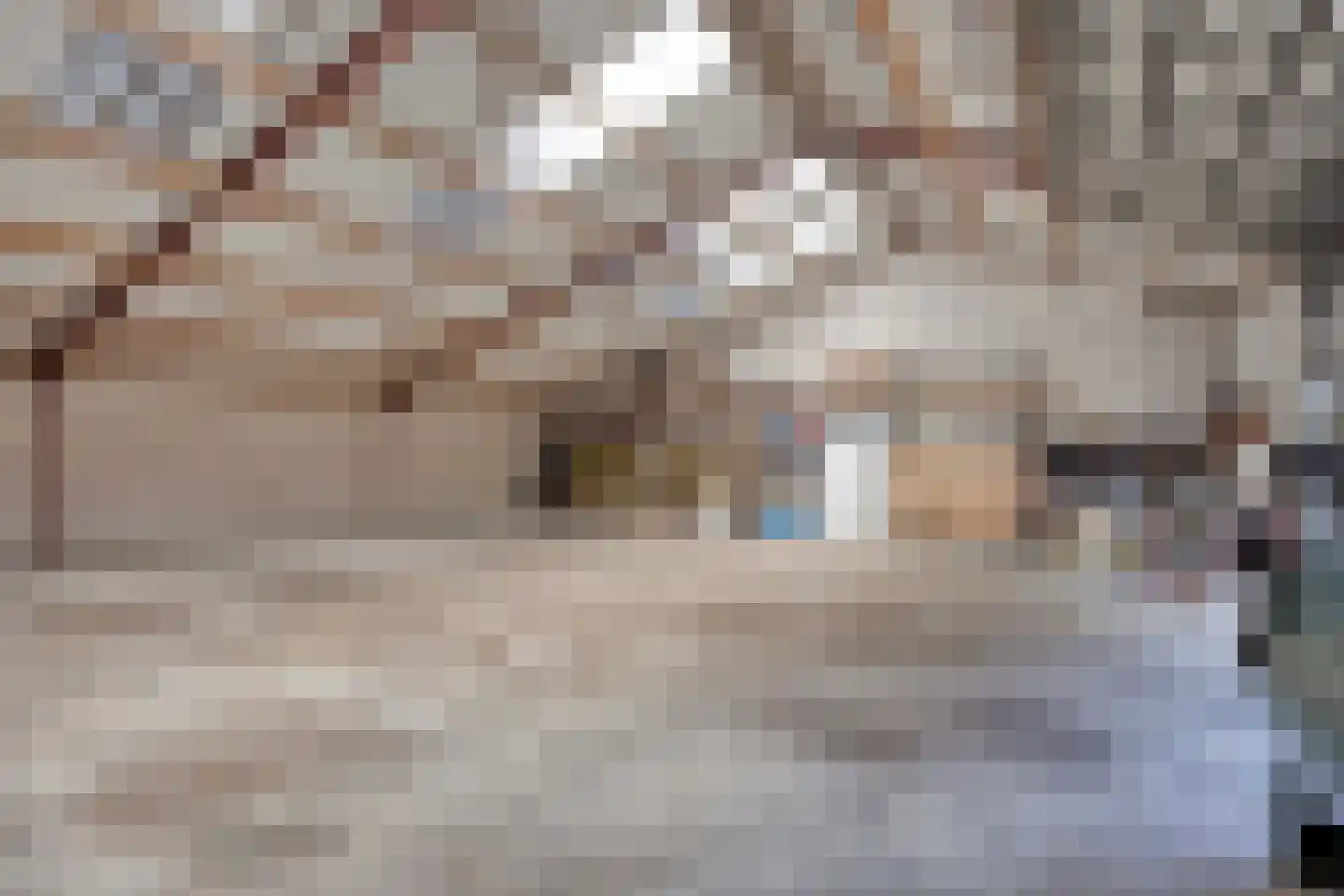 Hoekstraat 2 Rijkevoort thumbnail 7