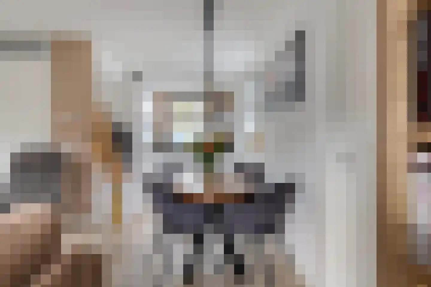 Hoekstraat 25 b Schaijk thumbnail 13