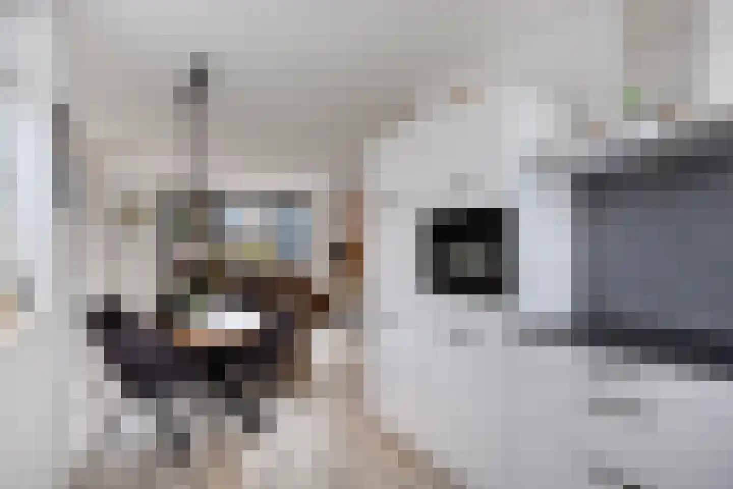 Hoekstraat 25 b Schaijk thumbnail 17