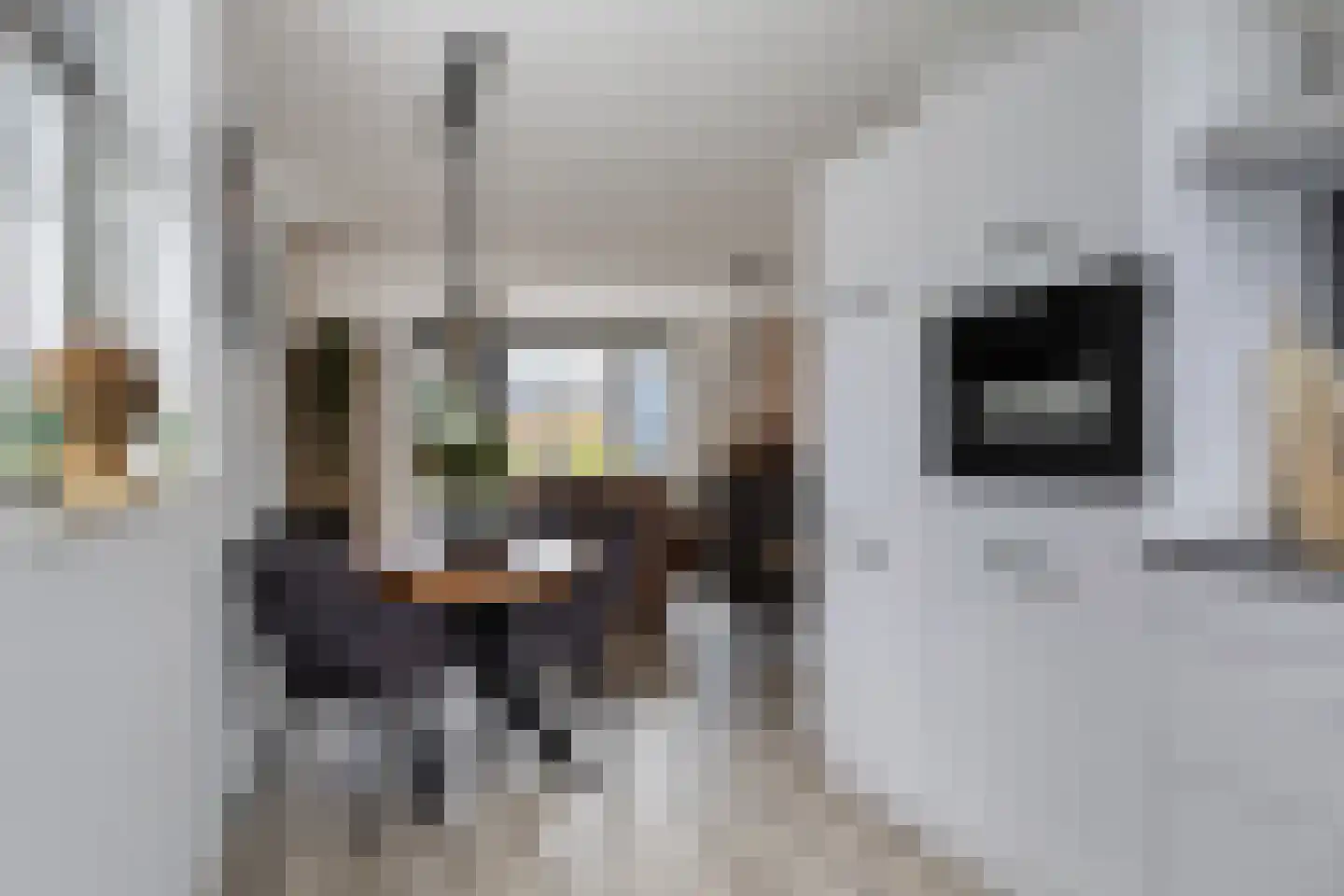 Hoekstraat 25 b Schaijk thumbnail 18