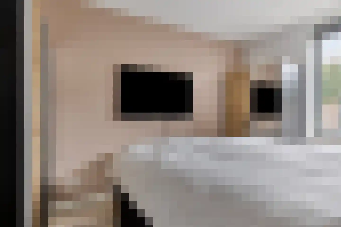 Hoekstraat 25 b Schaijk thumbnail 26