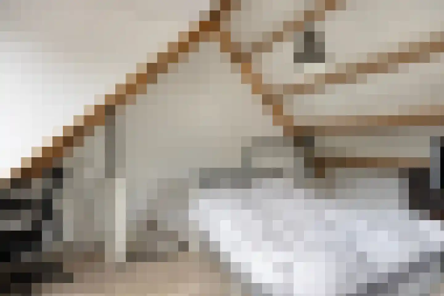 Hoekstraat 25 b Schaijk thumbnail 27
