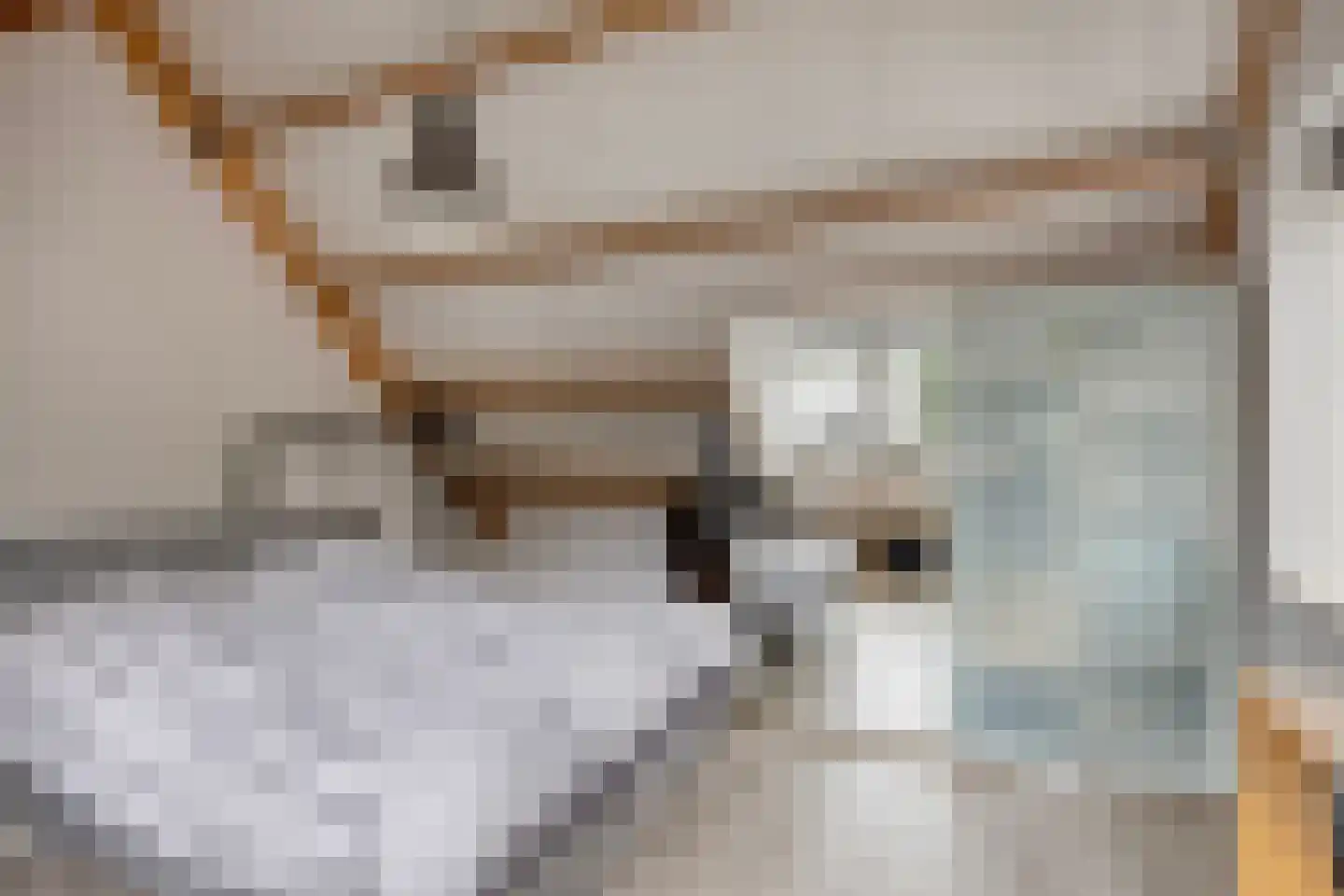 Hoekstraat 25 b Schaijk thumbnail 28