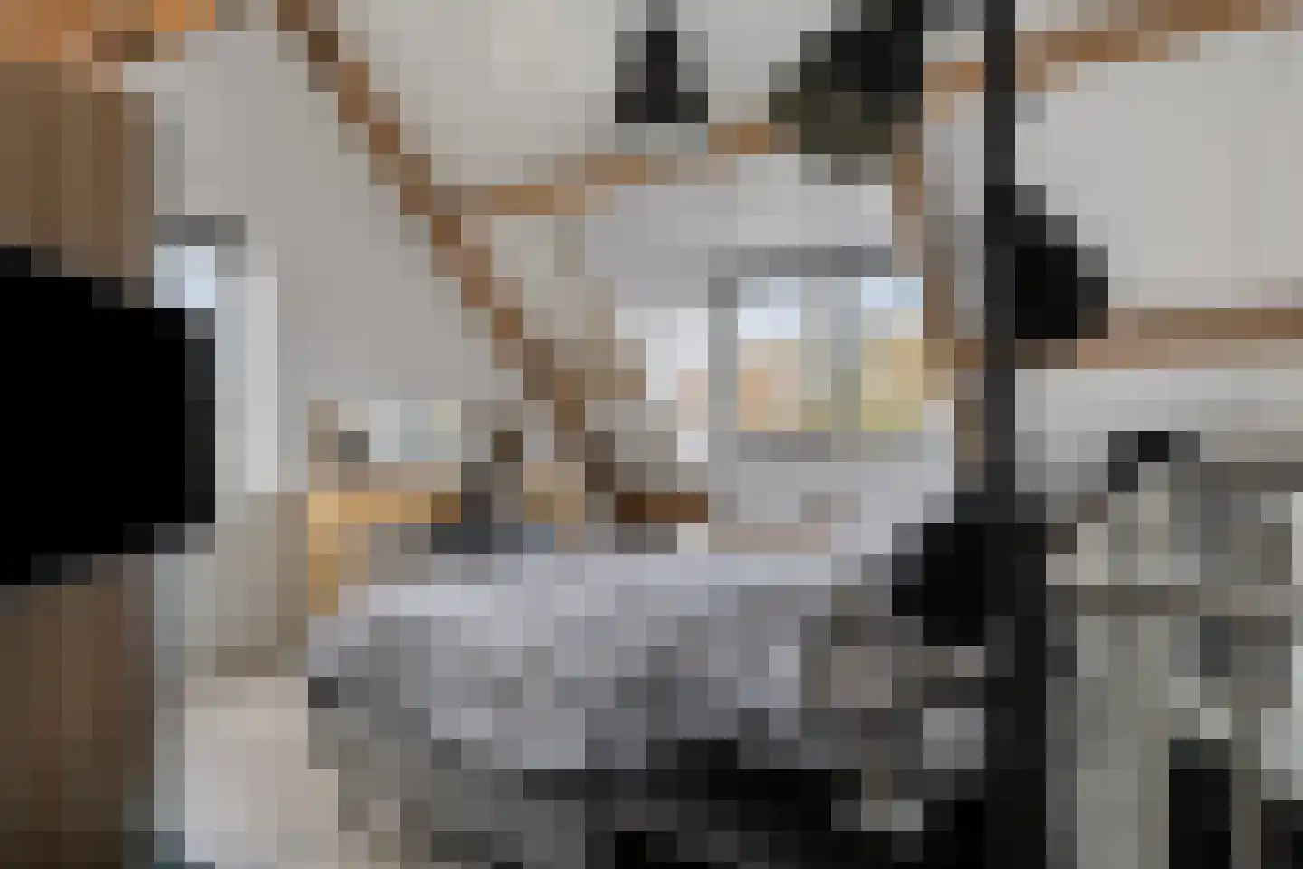 Hoekstraat 25 b Schaijk thumbnail 29