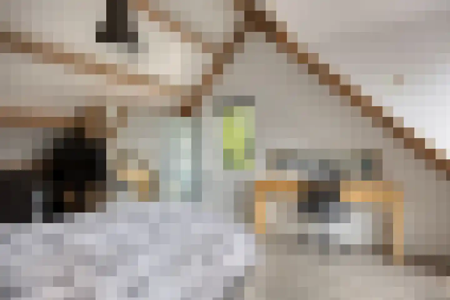 Hoekstraat 25 b Schaijk thumbnail 30