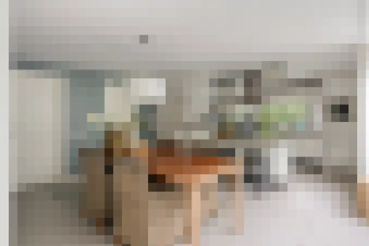 Hoekstraat 31 Schaijk thumbnail 21