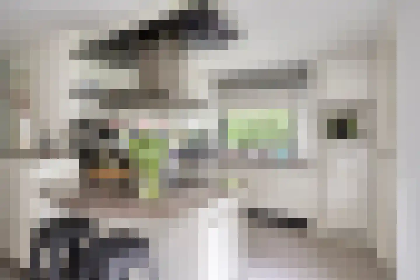 Hoekstraat 31 Schaijk thumbnail 24