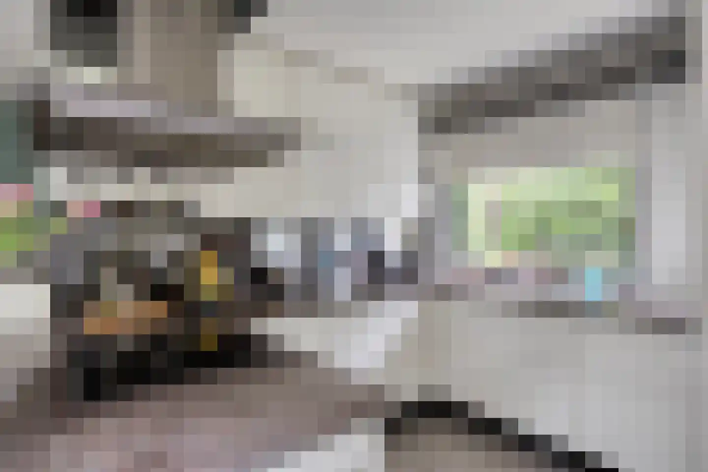 Hoekstraat 31 Schaijk thumbnail 25