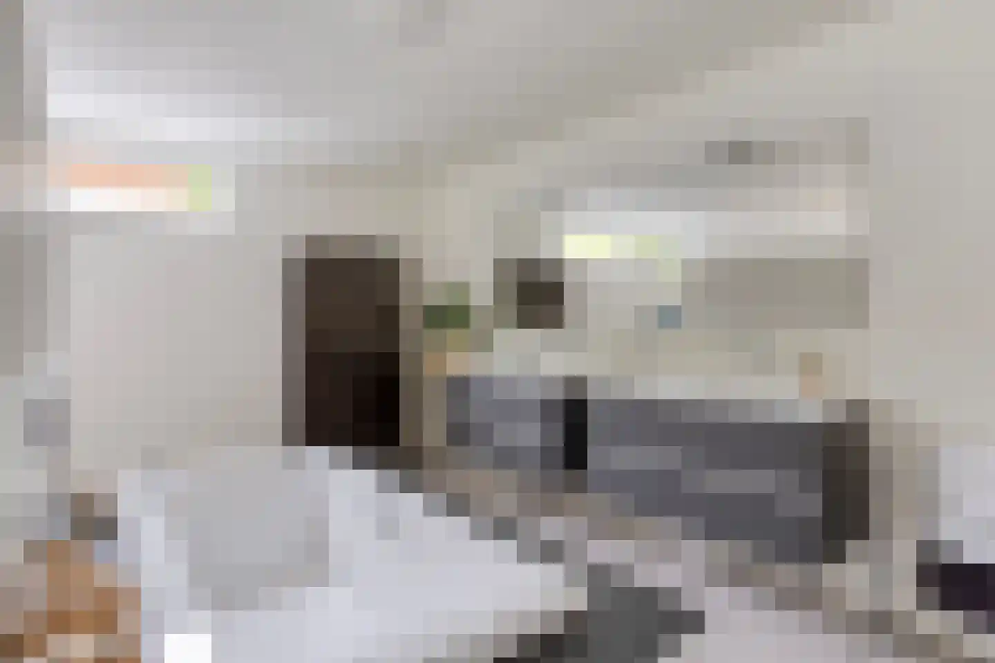 Hoekstraat 31 Schaijk thumbnail 28