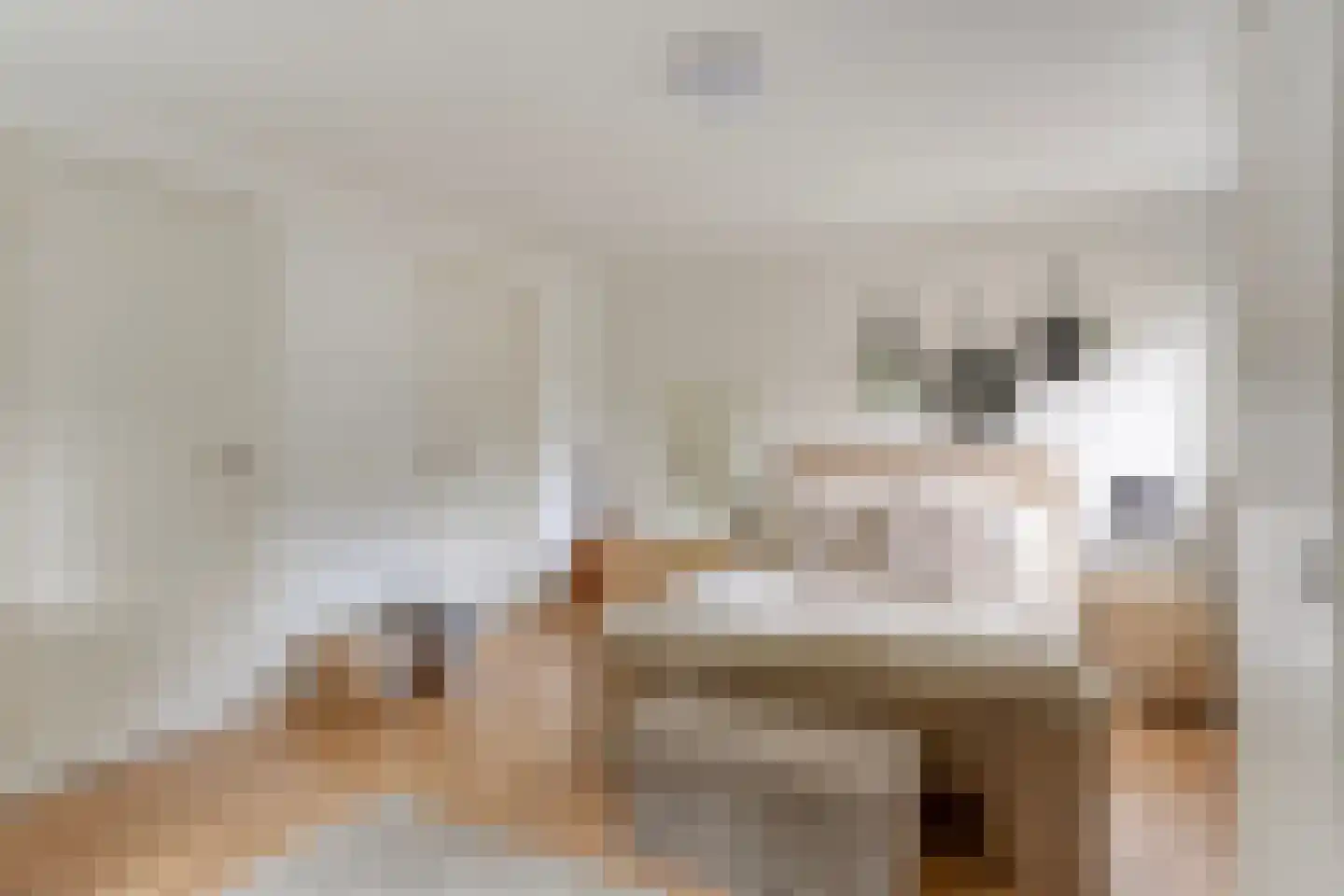Hoekstraat 31 Schaijk thumbnail 30