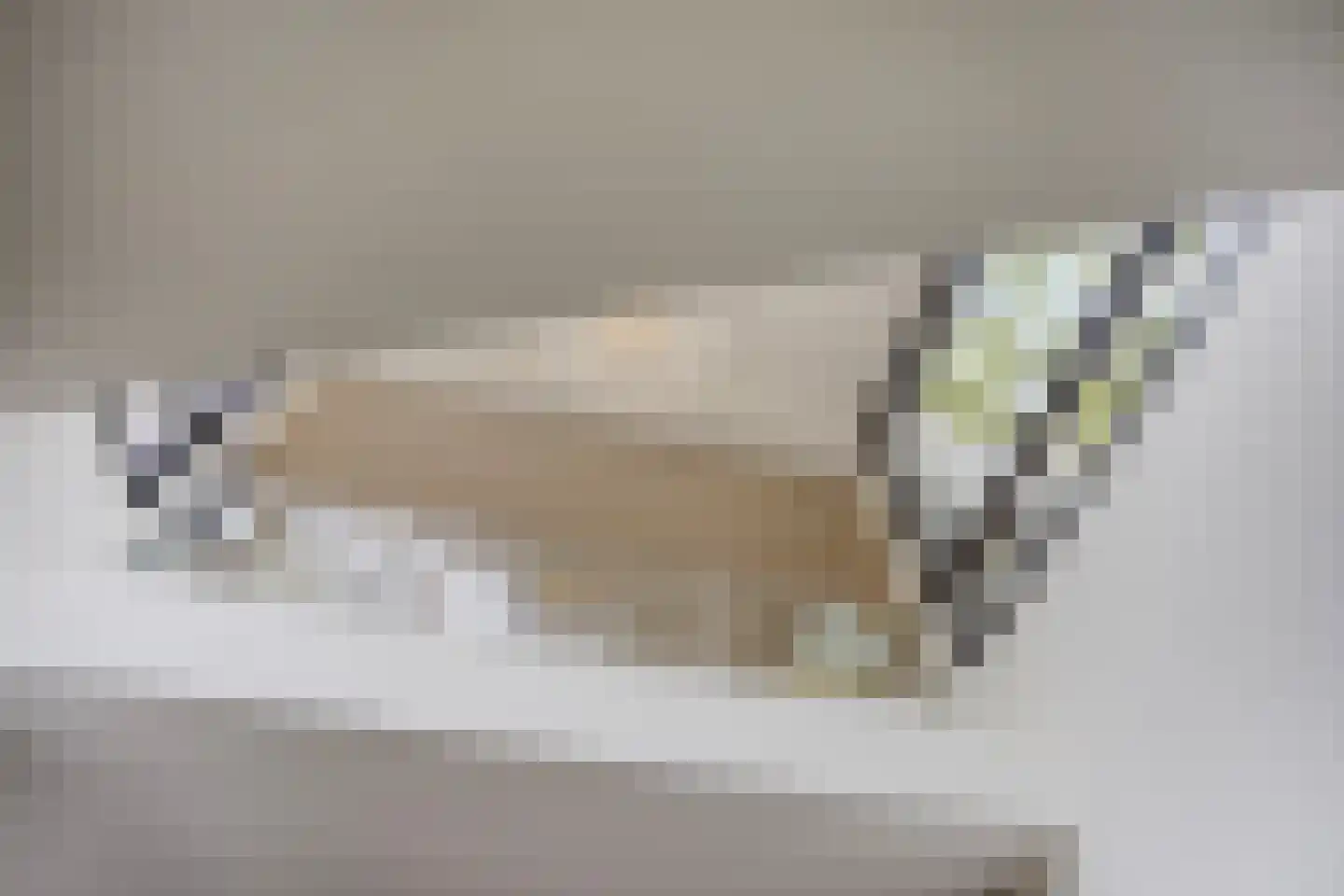 Hoekstraat 31 Schaijk thumbnail 38