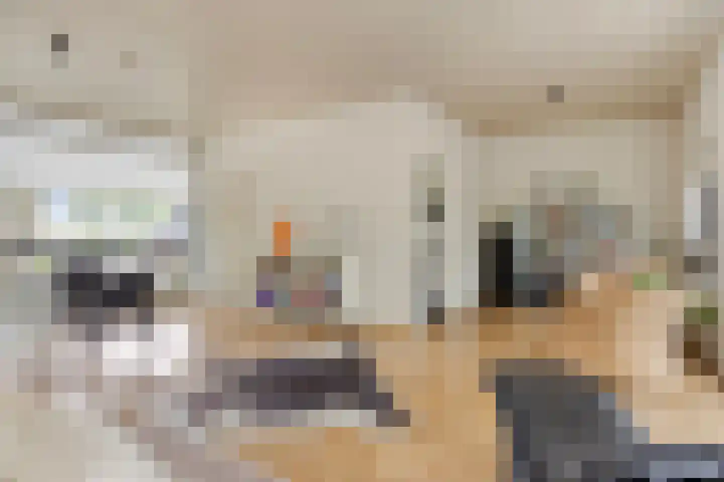 Hoekstraat 31 Schaijk thumbnail 47