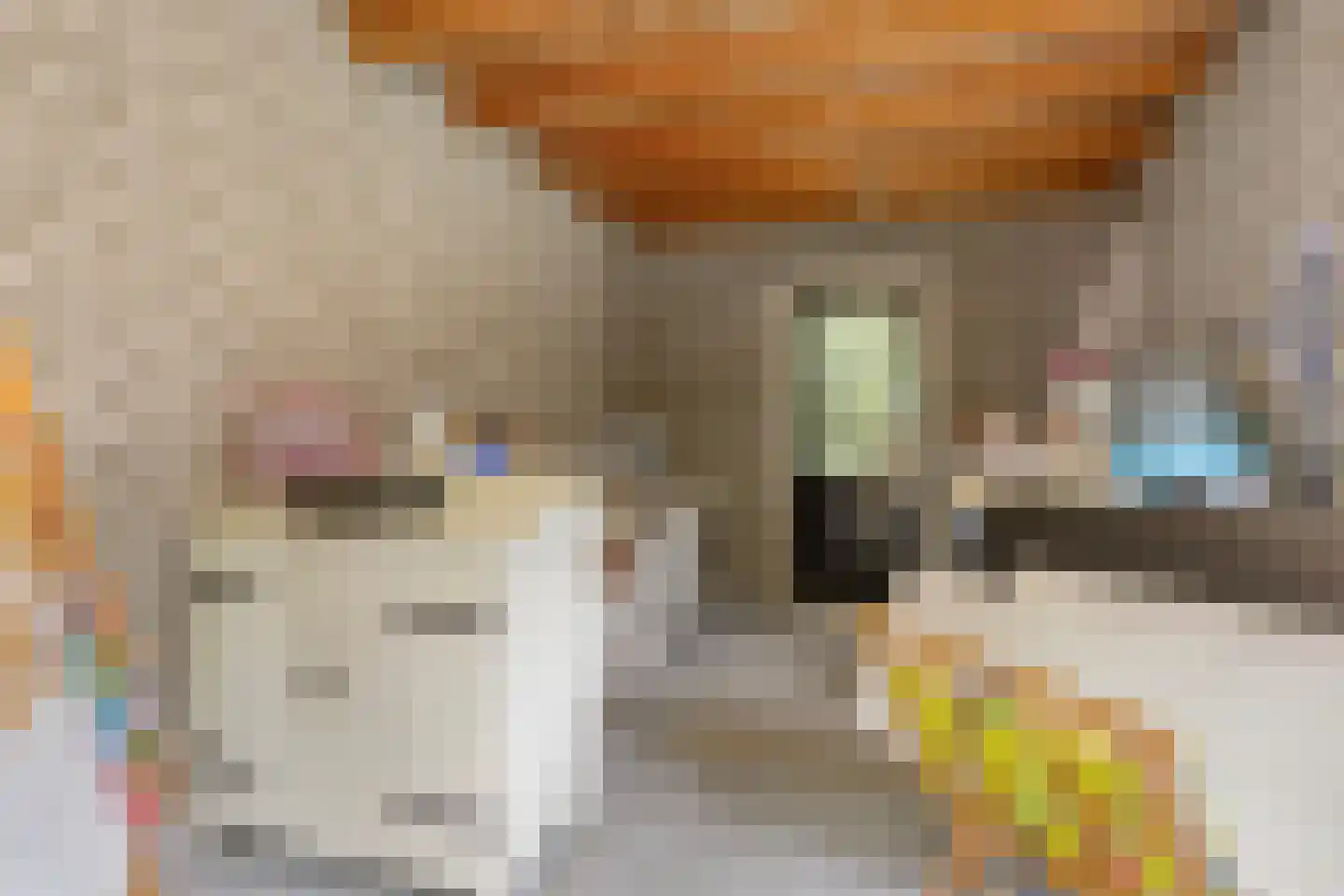 Hoekstraat 31 Schaijk thumbnail 55