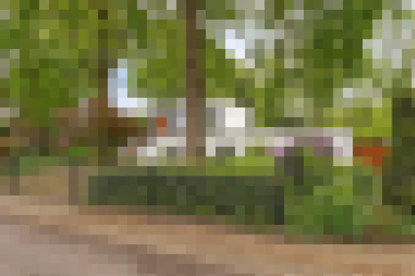 Hoekstraat 31 Schaijk thumbnail 59