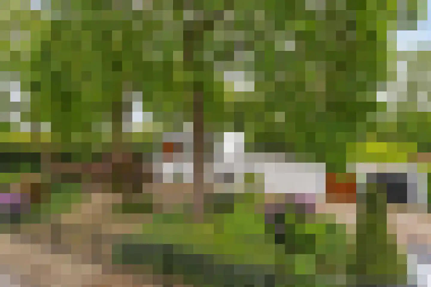 Hoekstraat 31 Schaijk thumbnail 60