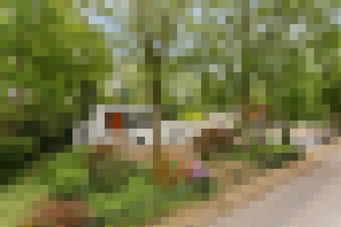 Hoekstraat 31 Schaijk thumbnail 61