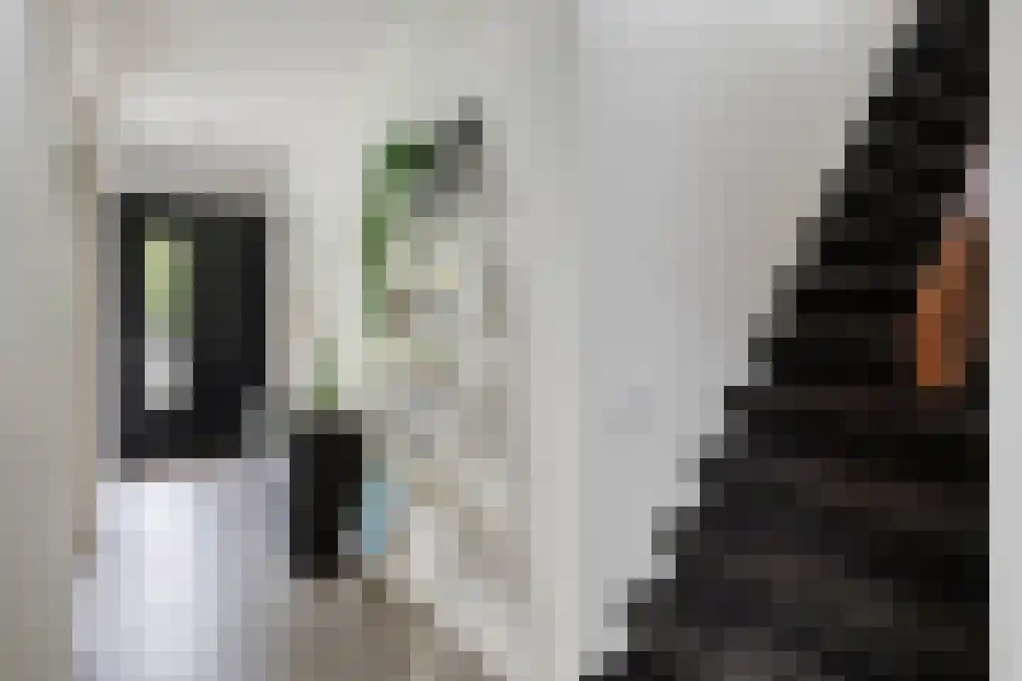 Hoekstraat 31 Schaijk thumbnail 9