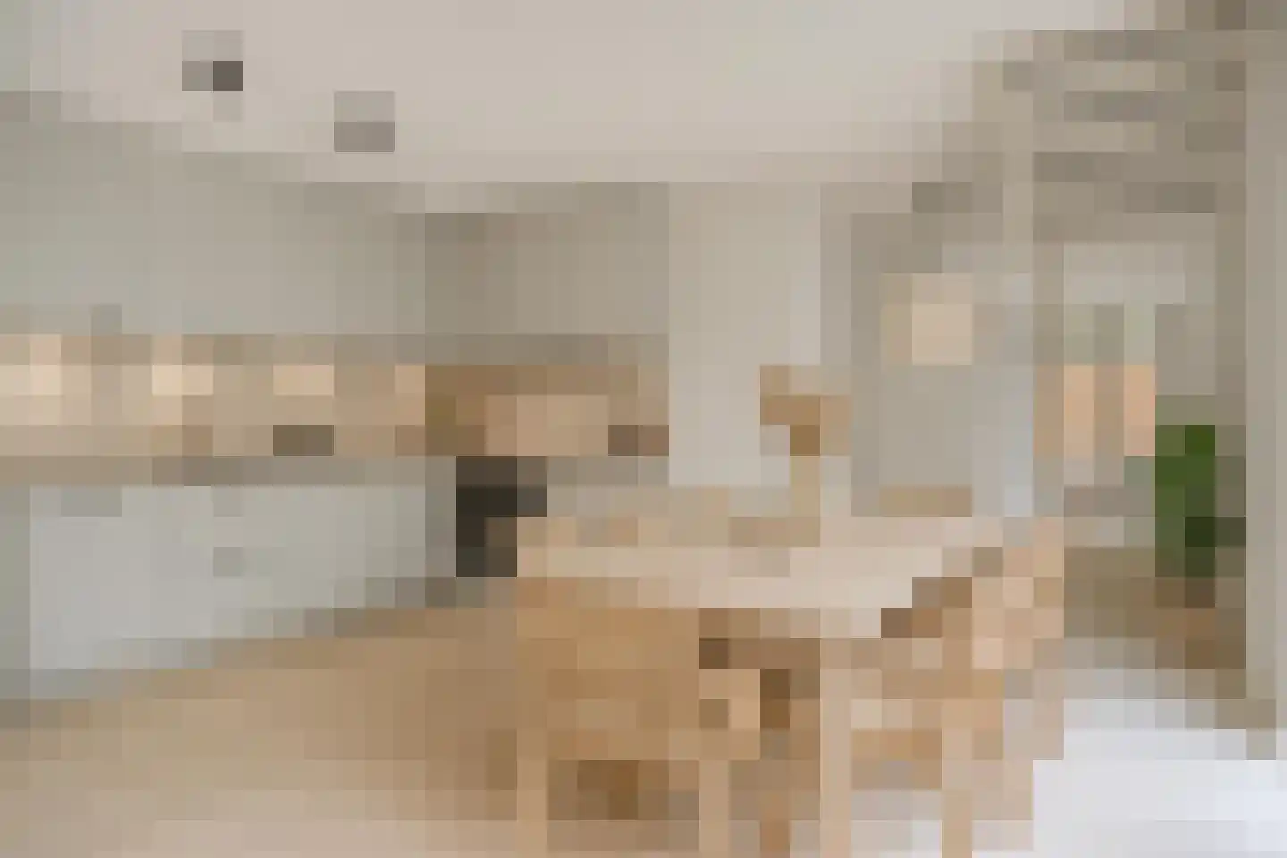 Hoekstraat 37 Schaijk thumbnail 11