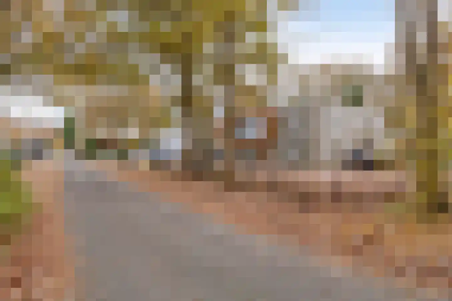 Hoekstraat 37 Schaijk thumbnail 7