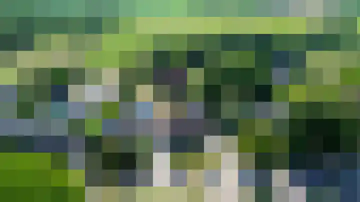 Hoekstraat 41 Nuenen thumbnail 4