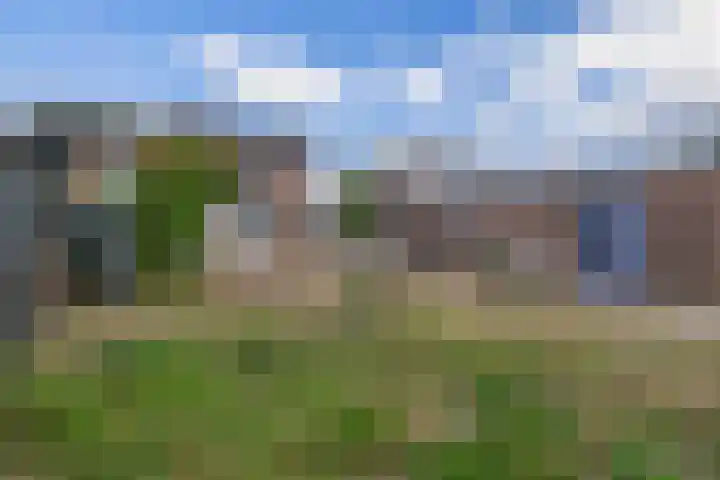 Hoekstraat 41 Nuenen thumbnail 48
