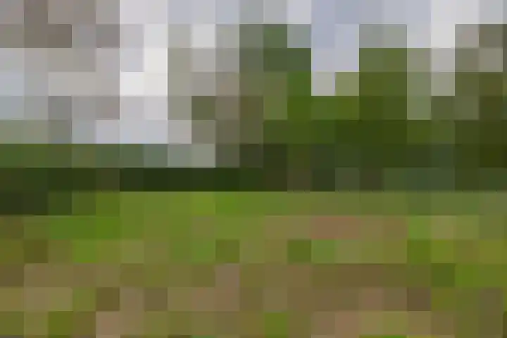 Hoekstraat 41 Nuenen thumbnail 53