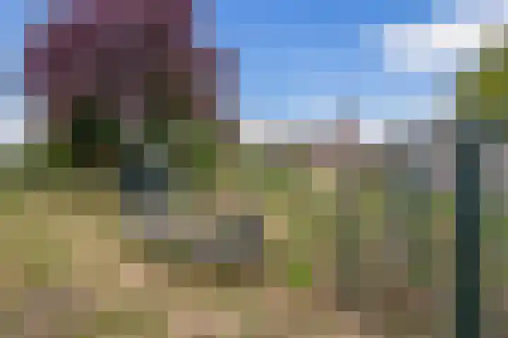 Hoekstraat 41 Nuenen thumbnail 54
