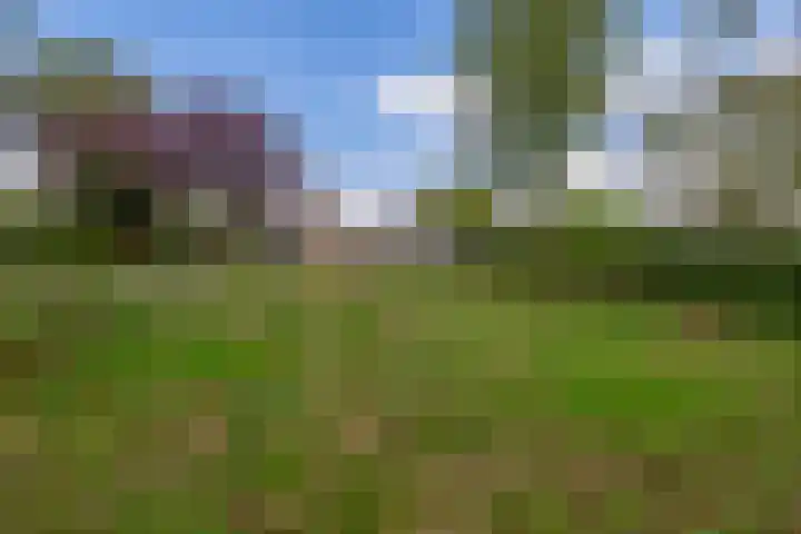 Hoekstraat 41 Nuenen thumbnail 55
